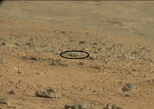 Mars Lizard
